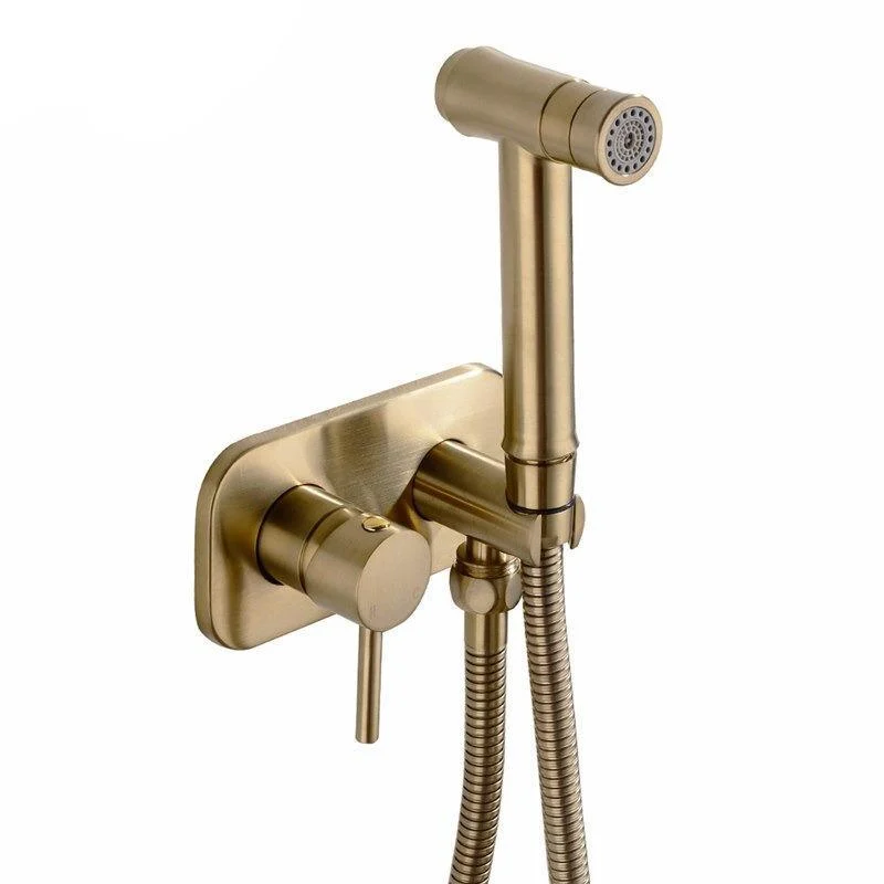 Brass Double Mode Hot and Cold Handheld Bidet Set 4 Colors Spray Handheld Bidet -Bathlova