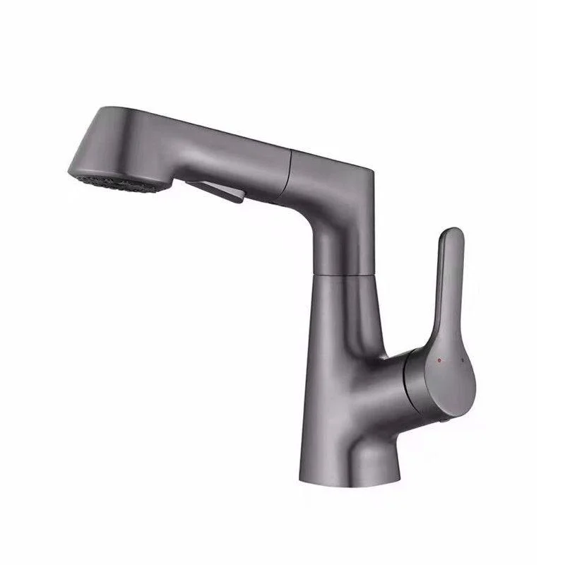 Centerset Sink Tap Contemporary Pull-out Tap with Single Handle -Bathlova