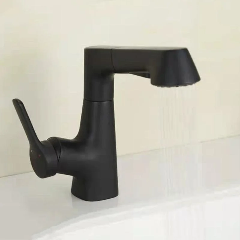 Centerset Sink Tap Contemporary Pull-out Tap with Single Handle -Bathlova