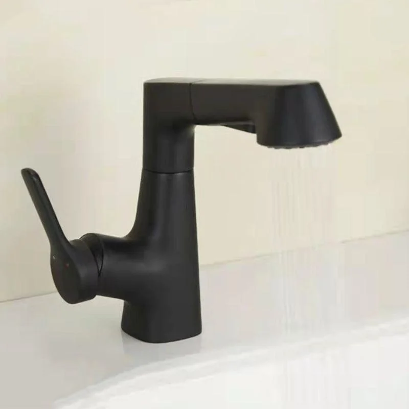 Centerset Sink Tap Contemporary Pull-out Tap with Single Handle -Bathlova