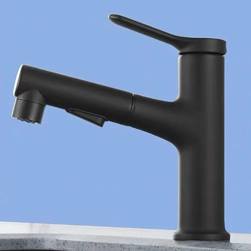 Contemporary Style Tap Single Lever Handle Tap with Swivel Spout -Bathlova