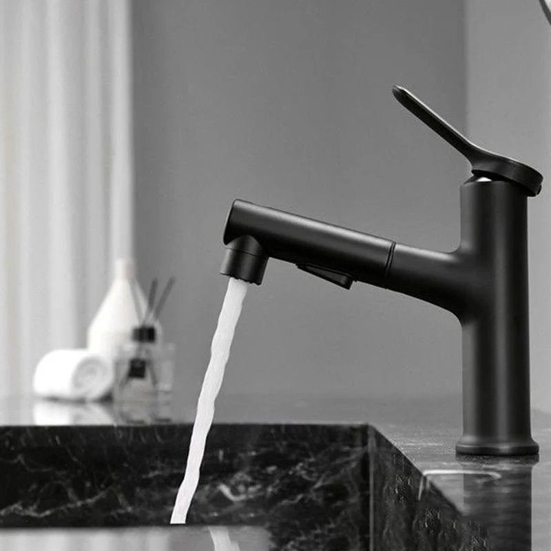 Contemporary Style Tap Single Lever Handle Tap with Swivel Spout -Bathlova