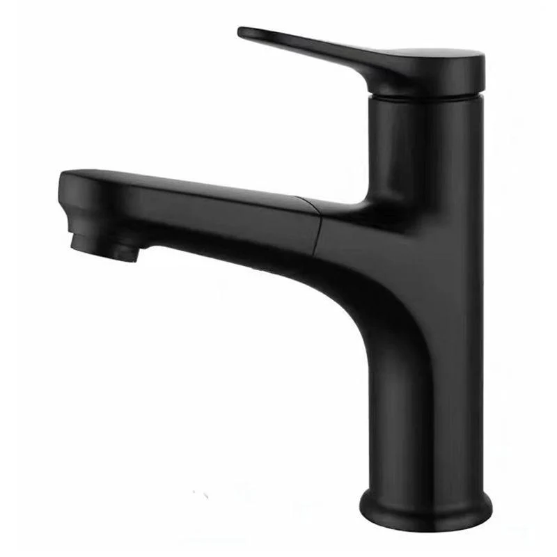 Contemporary Style Tap Single Lever Handle Tap with Swivel Spout -Bathlova