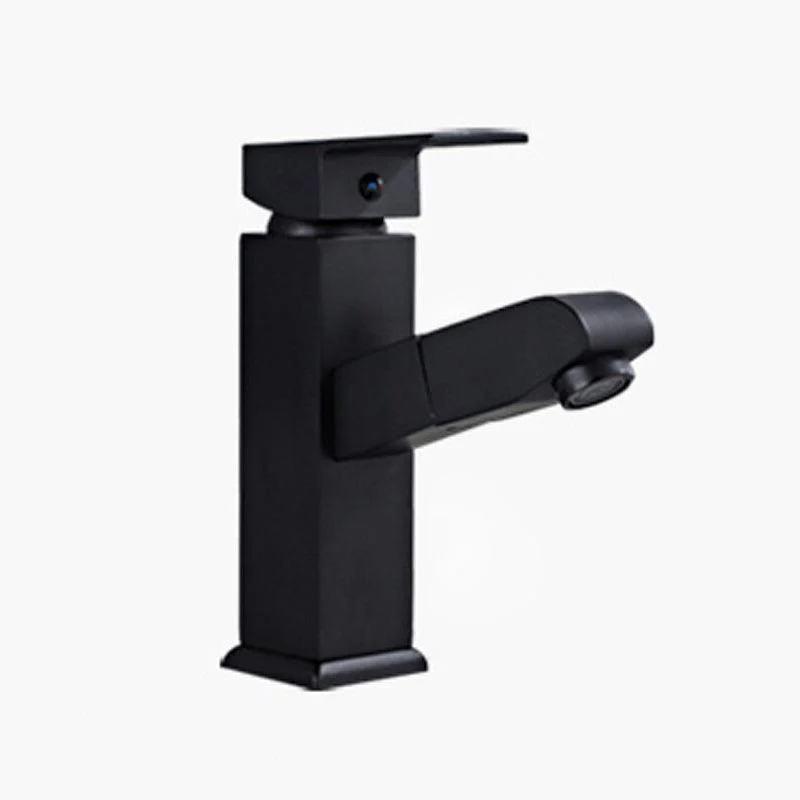 Contemporary Style Taps Single Lever Handle Swivel Spout Taps -Bathlova