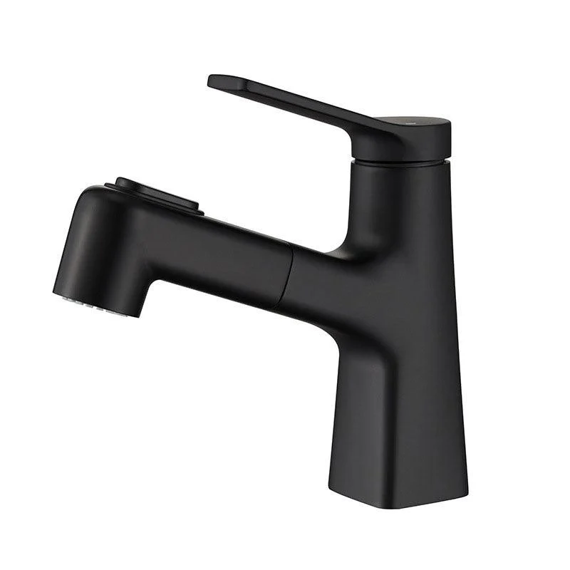 Contemporary Vessel Tap Metal Single Handle Low Arc Vessel Tap for Bathroom -Bathlova