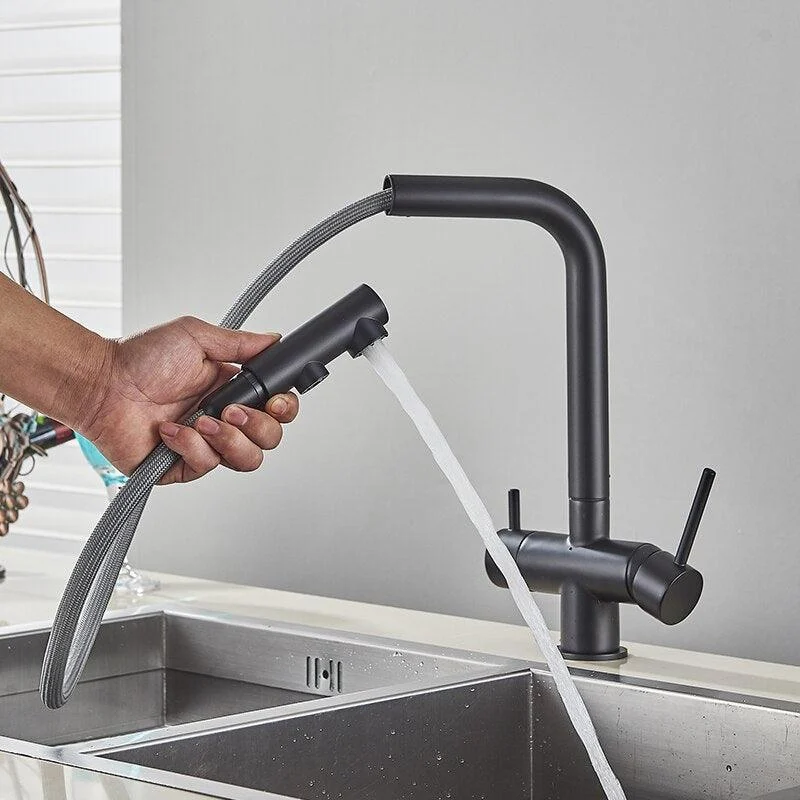 Filtered Kitchen Tap 360 Rotation Dual Sprayer Drinking Water Tap -Bathlova