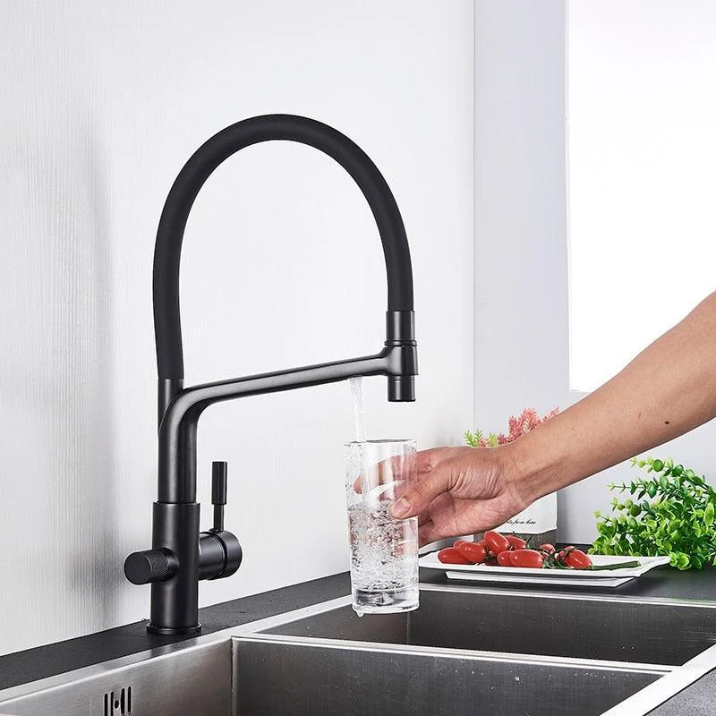 Flexible Brass Kitchen Water Filter Tap Kitchen Taps Dual Spout Filter Tap In Colors -Bathlova