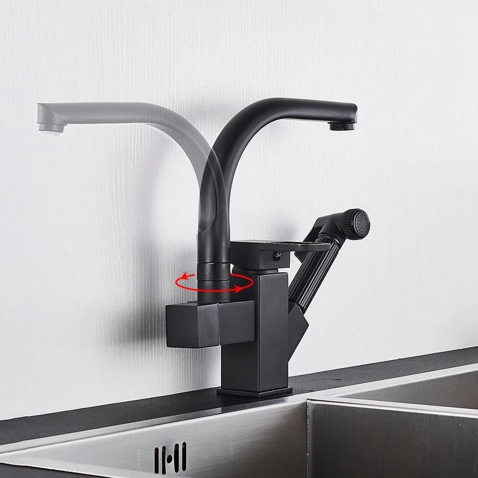 Index Bath Multifunctional Tap Kitchen Tap Dual Spout Pull Out Kitchen Tap With Spray -Bathlova