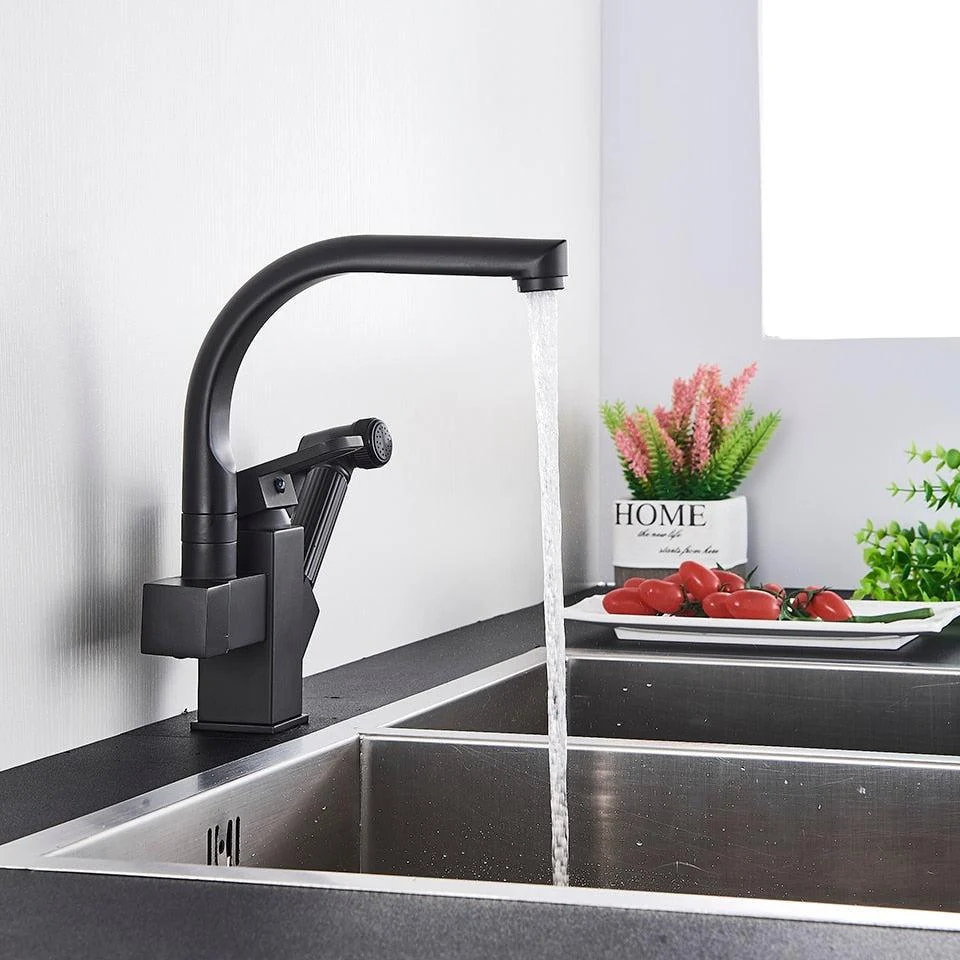 Index Bath Multifunctional Tap Kitchen Tap Dual Spout Pull Out Kitchen Tap With Spray -Bathlova