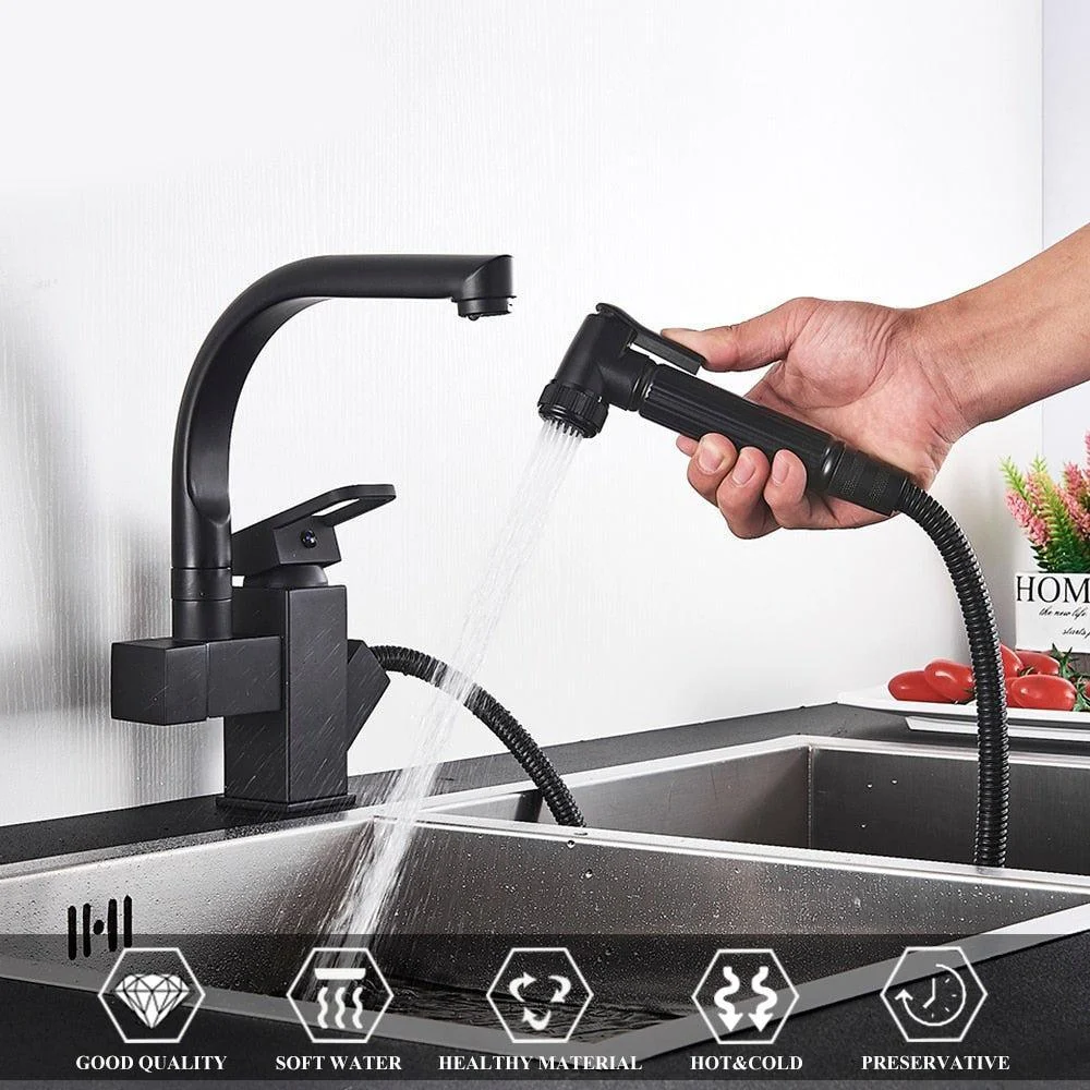 Index Bath Multifunctional Tap Kitchen Tap Dual Spout Pull Out Kitchen Tap With Spray -Bathlova