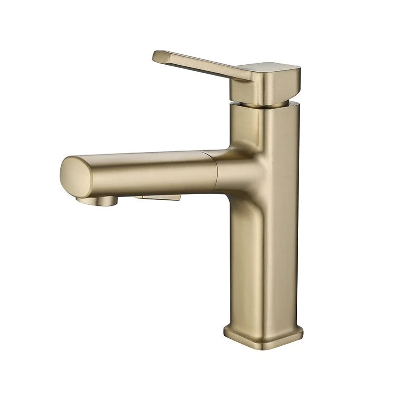 Modern Bathroom Tap Brass Lever Handles Swivel Spout Bathroom Sink Tap -Bathlova