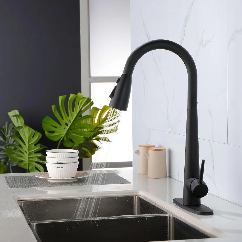 Modern Black Kitchen Tap with Pull Out Sprayer -Bathlova