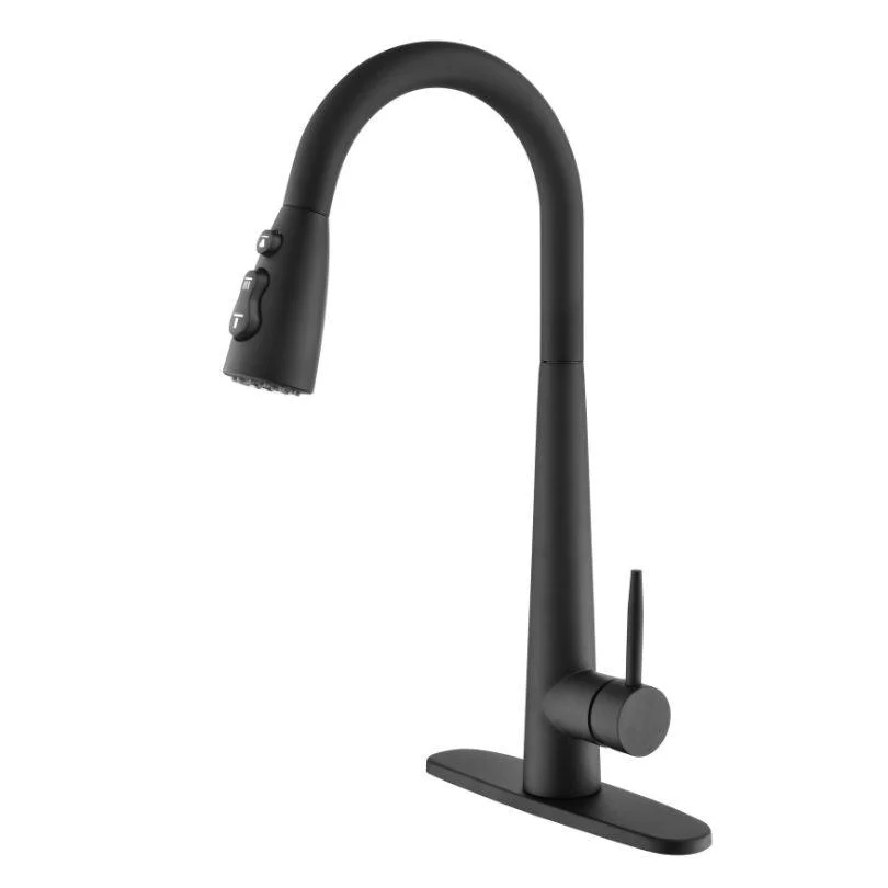 Modern Black Kitchen Tap with Pull Out Sprayer -Bathlova