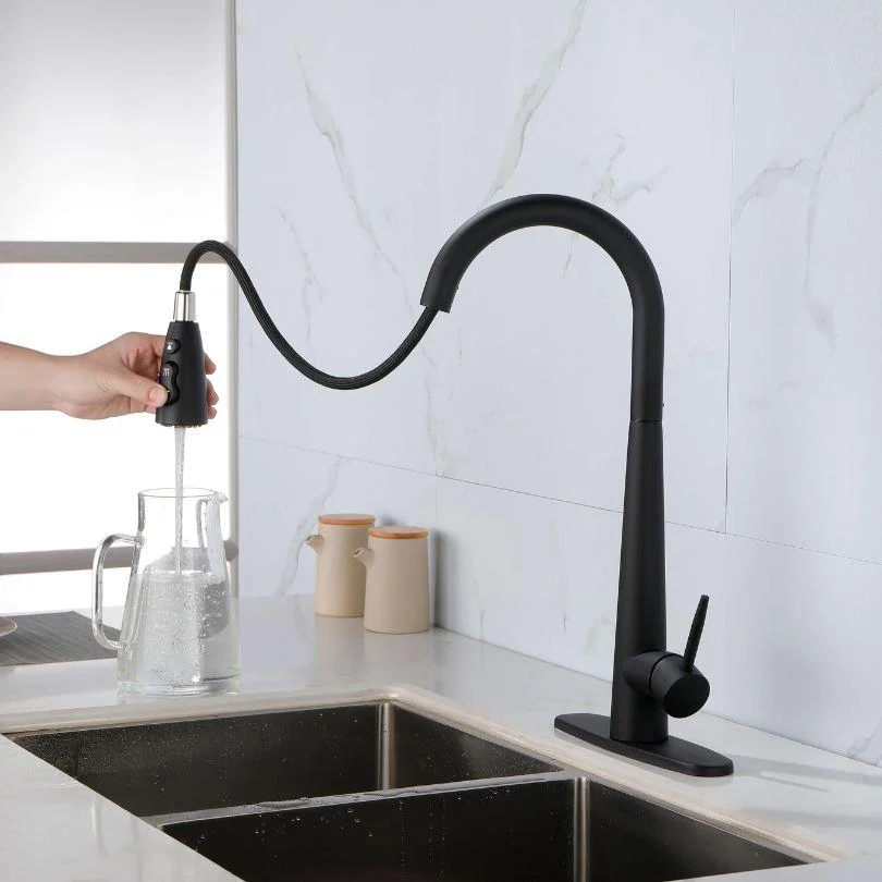 Modern Black Kitchen Tap with Pull Out Sprayer -Bathlova