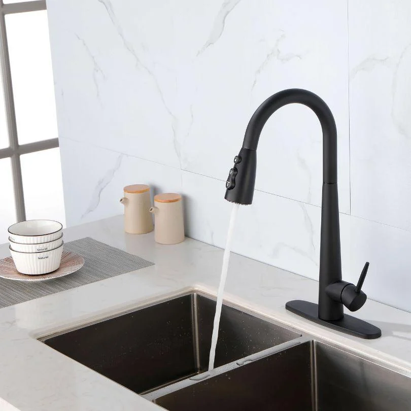 Modern Black Kitchen Tap with Pull Out Sprayer -Bathlova