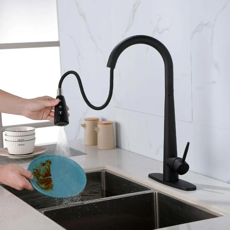 Modern Black Kitchen Tap with Pull Out Sprayer -Bathlova