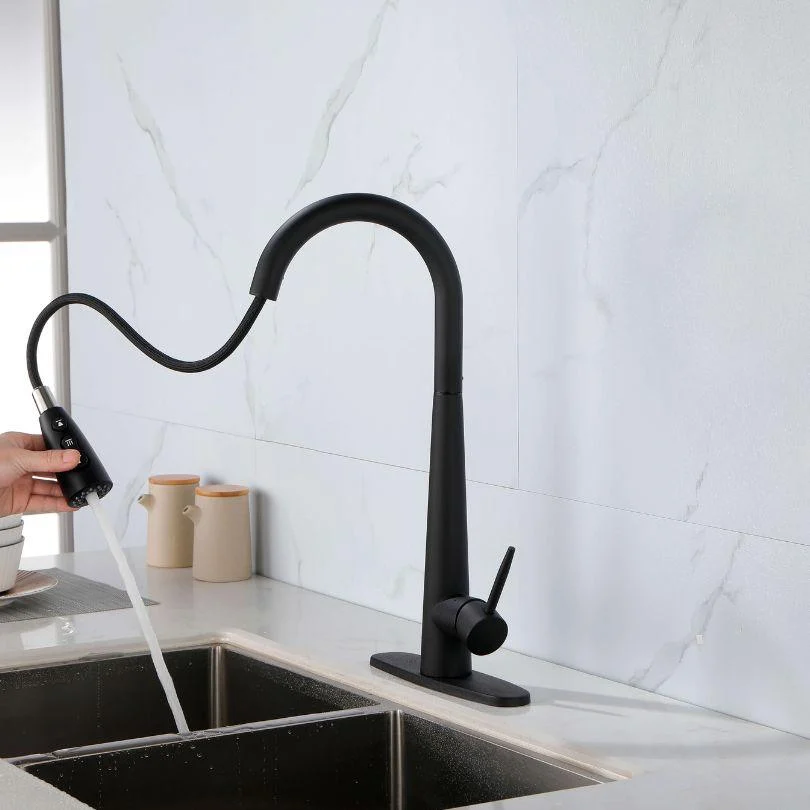 Modern Black Kitchen Tap with Pull Out Sprayer -Bathlova