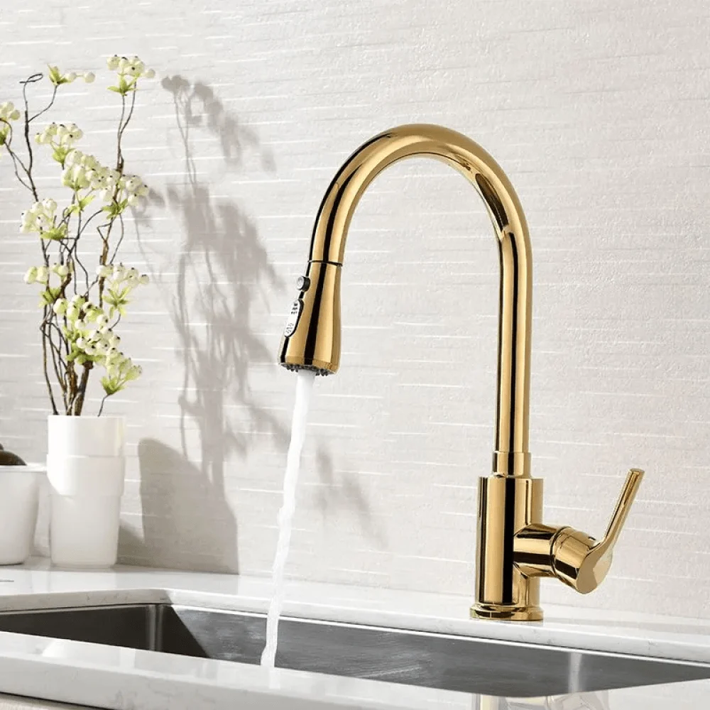 Modern Brass Single Handle Kitchen Tap with Pull Out Spray in Gold -Bathlova