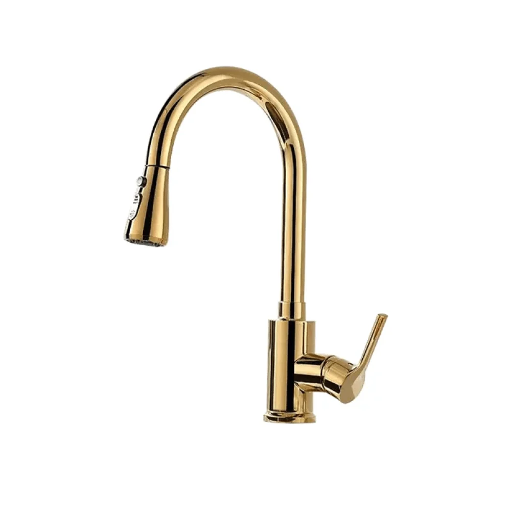 Modern Brass Single Handle Kitchen Tap with Pull Out Spray in Gold -Bathlova