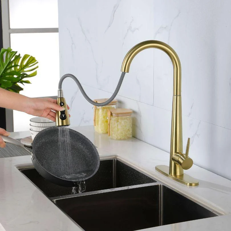 Modern Kitchen Sink Tap with Pull Out Sprayer -Bathlova