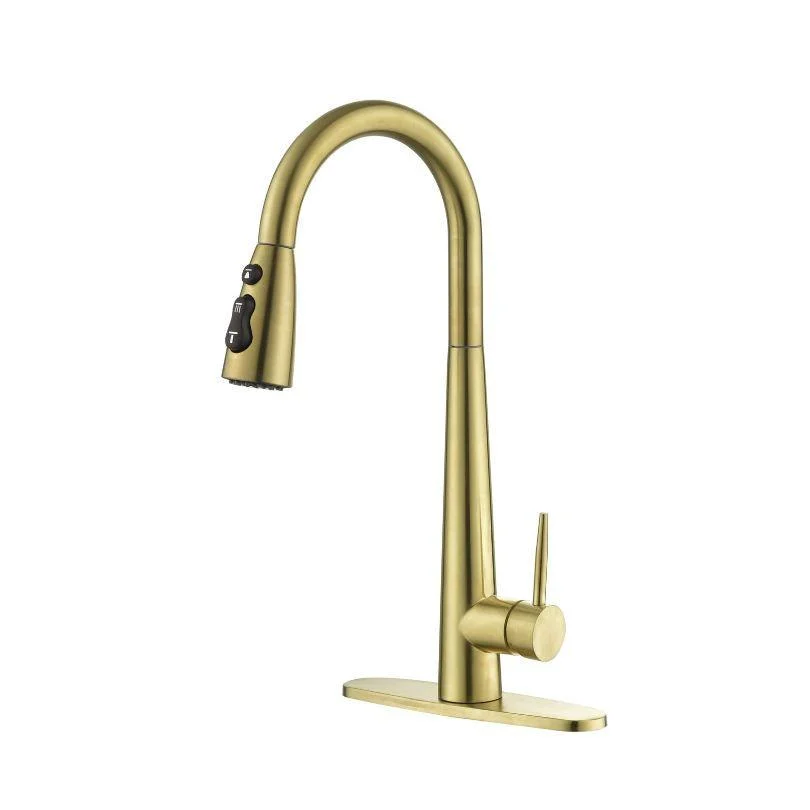 Modern Kitchen Sink Tap with Pull Out Sprayer -Bathlova