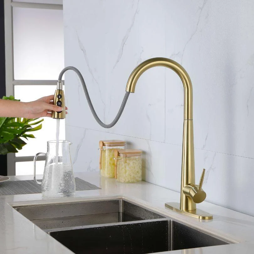 Modern Kitchen Sink Tap with Pull Out Sprayer -Bathlova