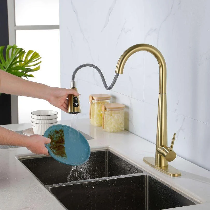 Modern Kitchen Sink Tap with Pull Out Sprayer -Bathlova