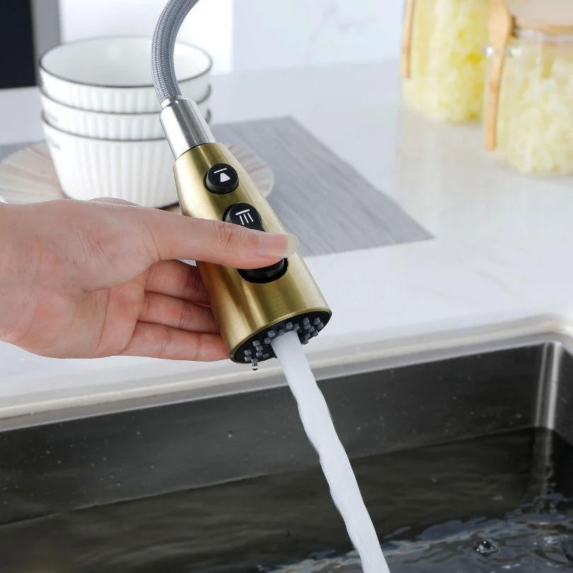 Modern Kitchen Sink Tap with Pull Out Sprayer -Bathlova