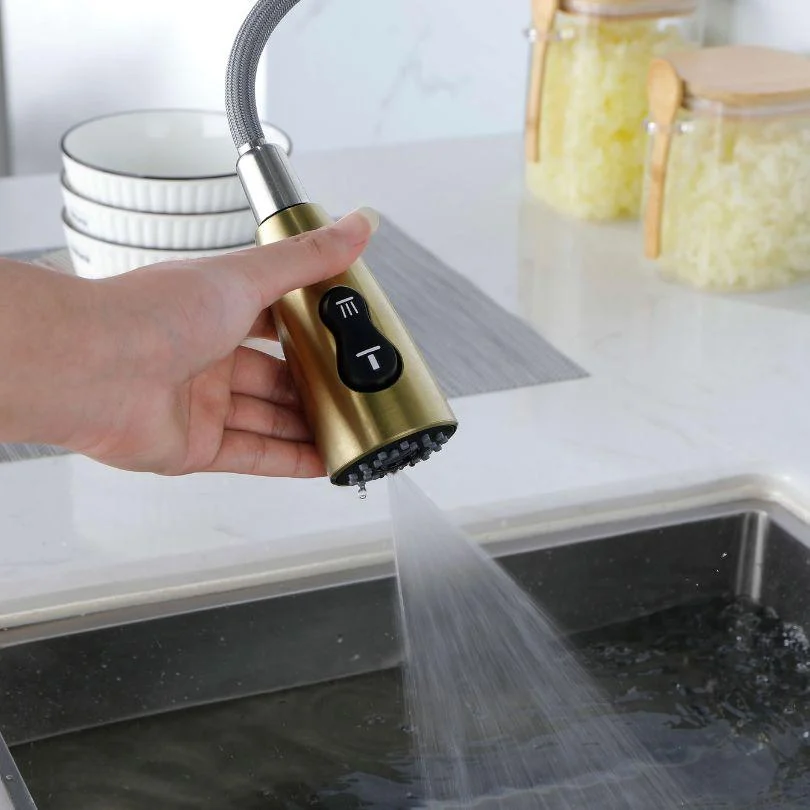 Modern Kitchen Sink Tap with Pull Out Sprayer -Bathlova