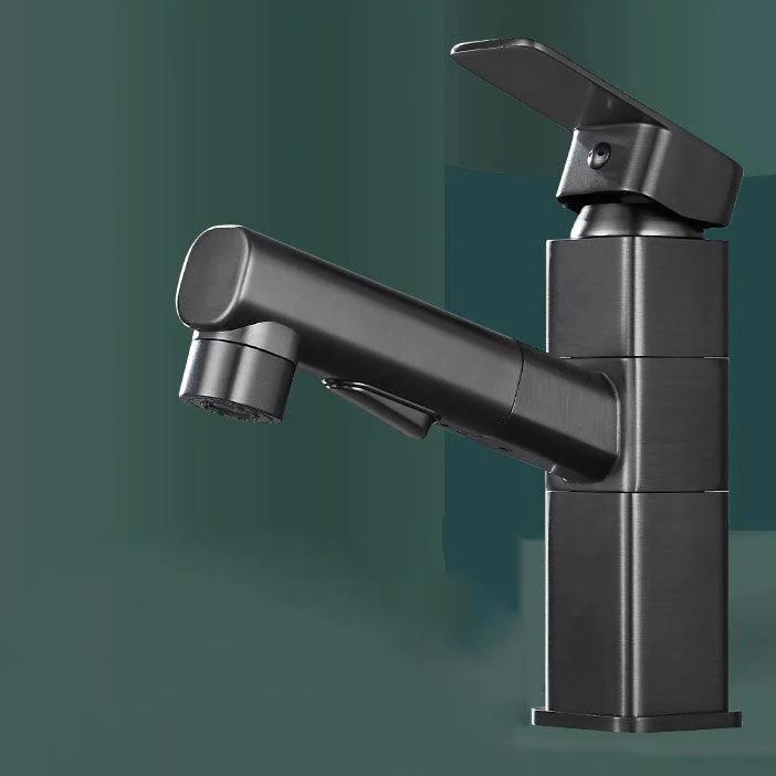 Bathroom Vessel Tap Swivel Spout Single Handle Tap with Pull down Sprayer -Bathlova