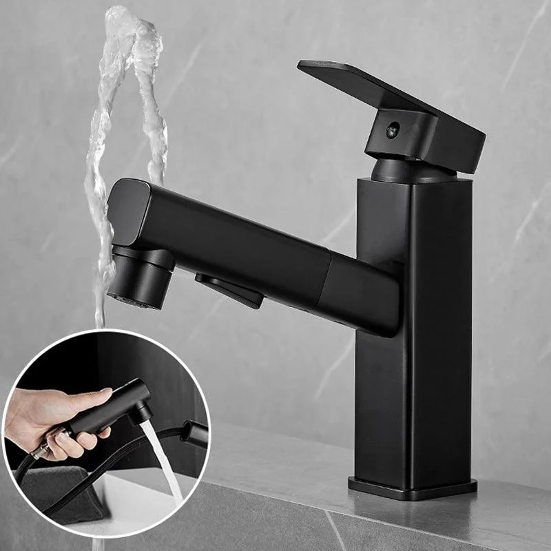 Bathroom Vessel Tap Swivel Spout Single Handle Tap with Pull down Sprayer -Bathlova