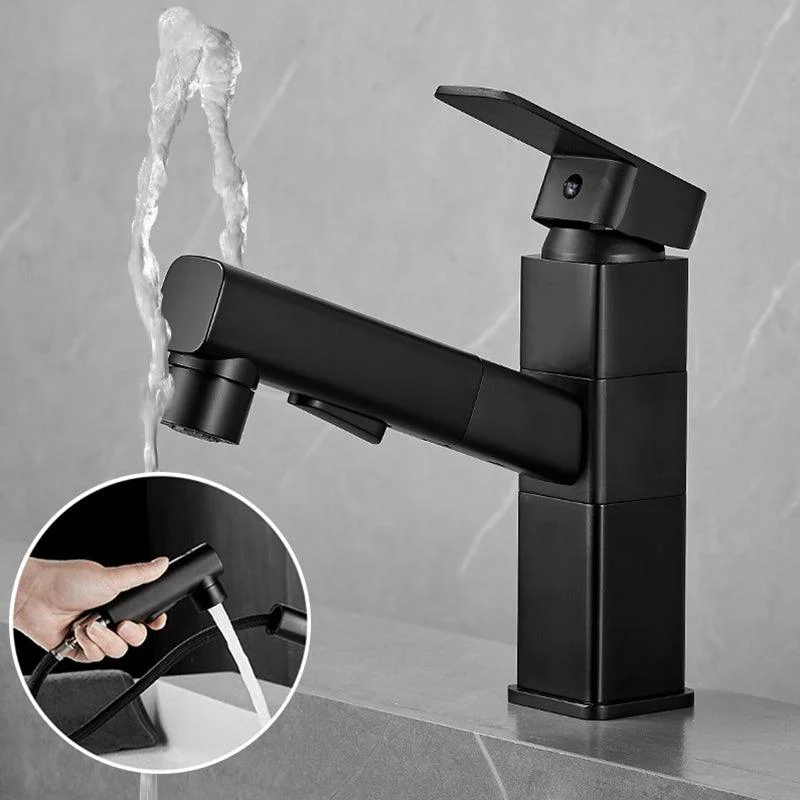 Bathroom Vessel Tap Swivel Spout Single Handle Tap with Pull down Sprayer -Bathlova