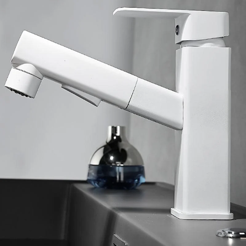 Bathroom Vessel Tap Swivel Spout Single Handle Tap with Pull down Sprayer -Bathlova