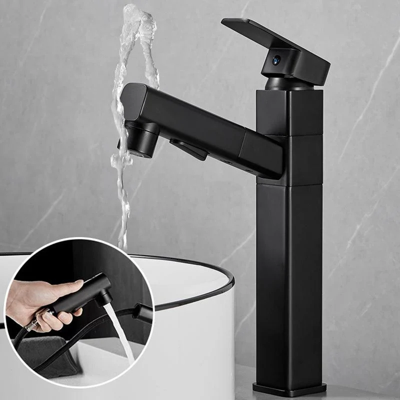 Bathroom Vessel Tap Swivel Spout Single Handle Tap with Pull down Sprayer -Bathlova