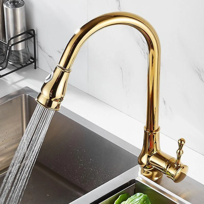 Brushed Gold Kitchen Sink Tap High Arch Swivel Spout with Pull Out Sprayer -Bathlova