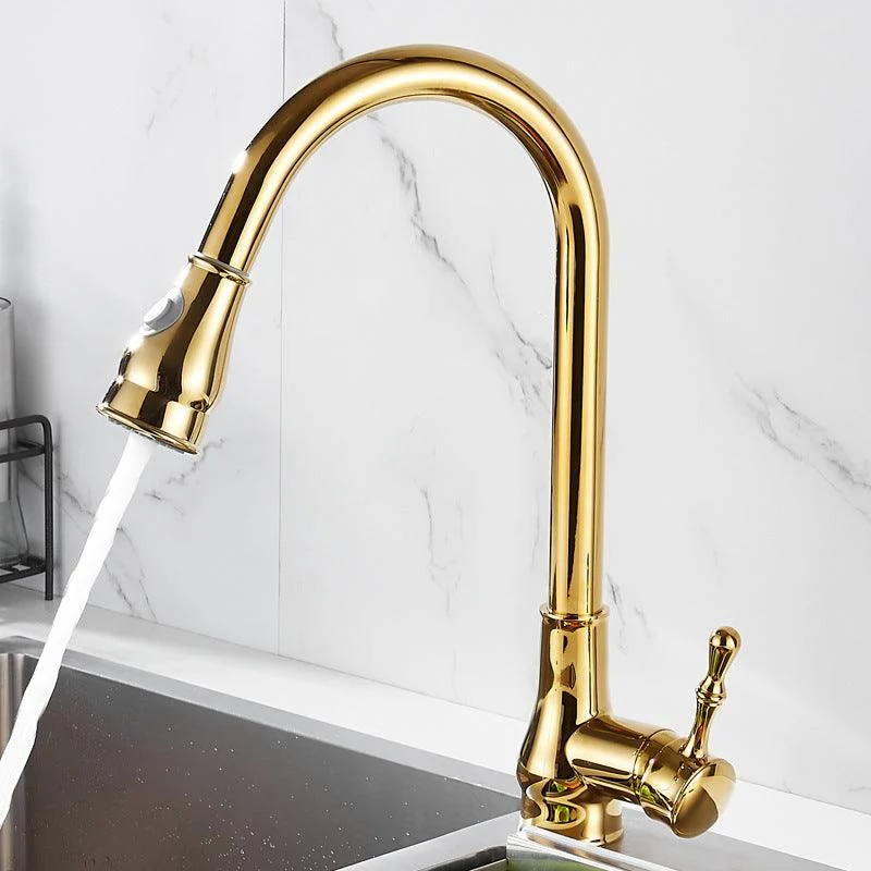 Brushed Gold Kitchen Sink Tap High Arch Swivel Spout with Pull Out Sprayer -Bathlova