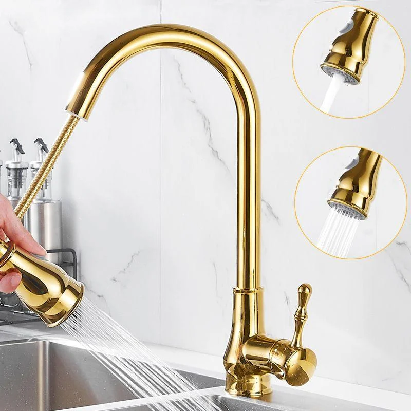 Brushed Gold Kitchen Sink Tap High Arch Swivel Spout with Pull Out Sprayer -Bathlova