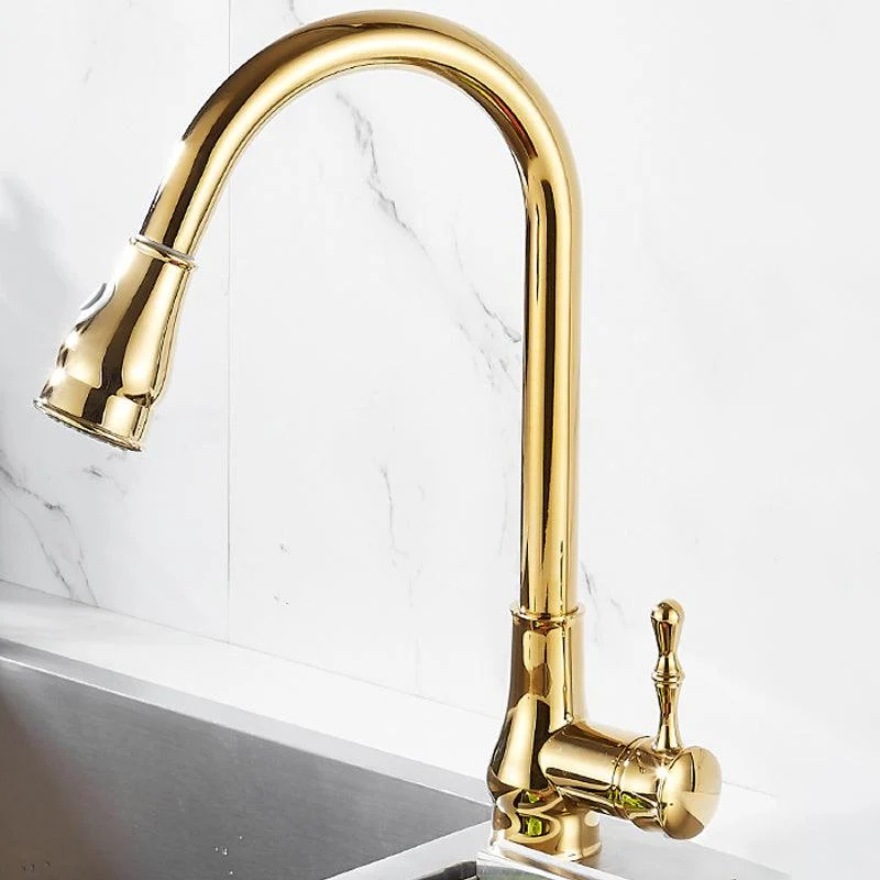 Brushed Gold Kitchen Sink Tap High Arch Swivel Spout with Pull Out Sprayer -Bathlova