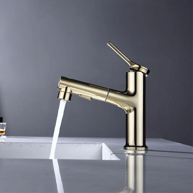 Contemporary Single Handle Tap Pull-out Sink Tap with Lever Handle -Bathlova