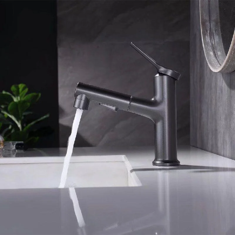 Contemporary Single Handle Tap Pull-out Sink Tap with Lever Handle -Bathlova