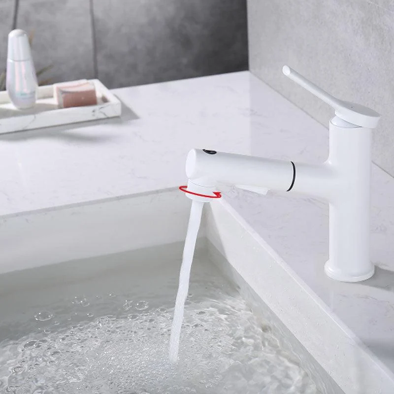 Contemporary Single Handle Tap Pull-out Sink Tap with Lever Handle -Bathlova