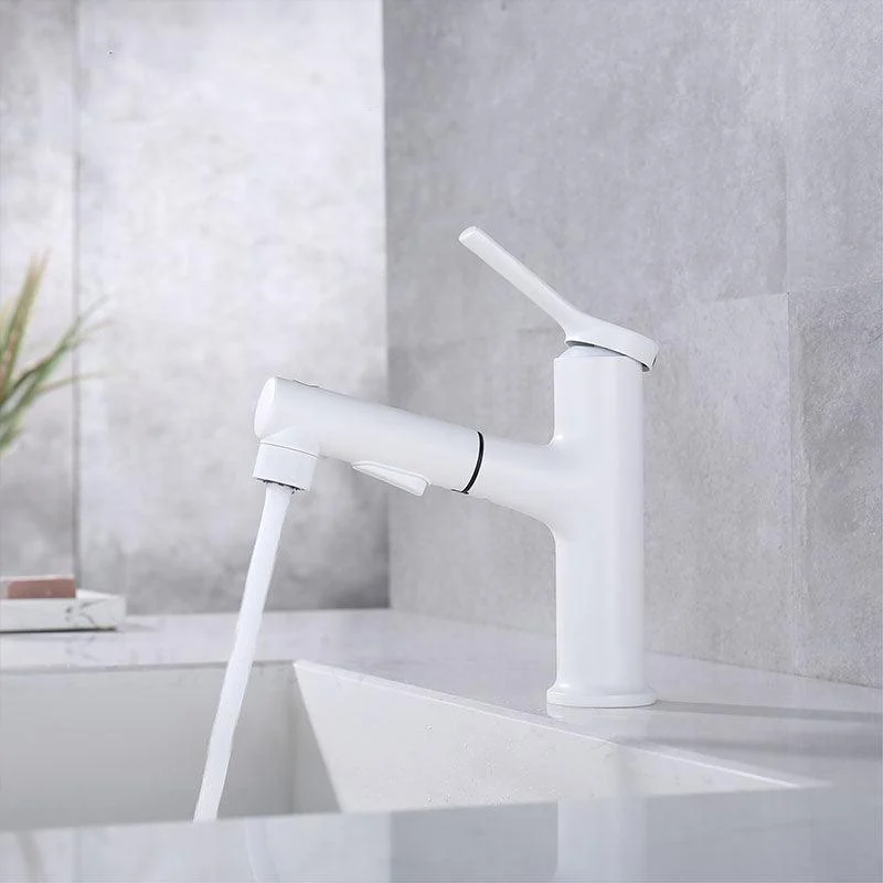 Contemporary Single Handle Tap Pull-out Sink Tap with Lever Handle -Bathlova