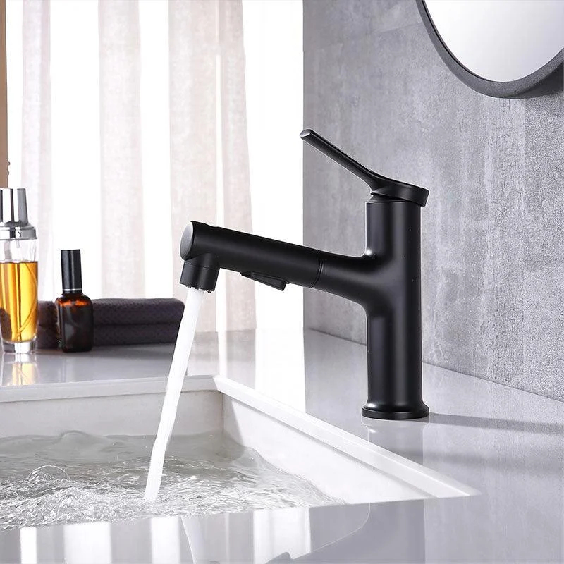 Contemporary Single Handle Tap Pull-out Sink Tap with Lever Handle -Bathlova