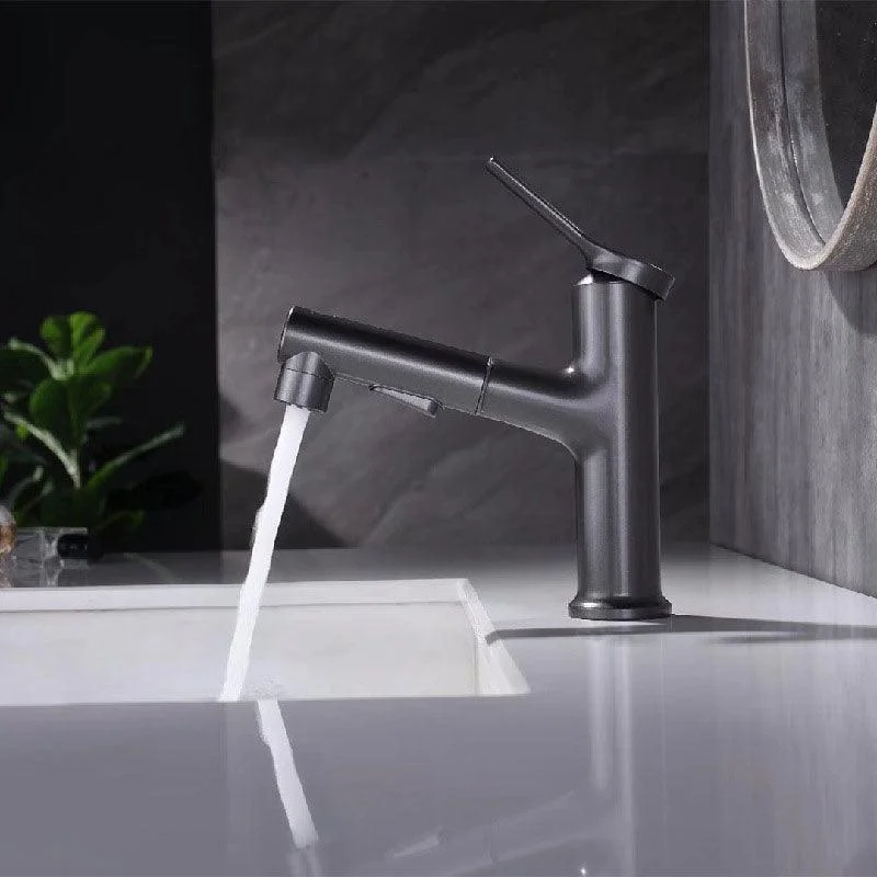 Contemporary Single Handle Tap Pull-out Sink Tap with Lever Handle -Bathlova