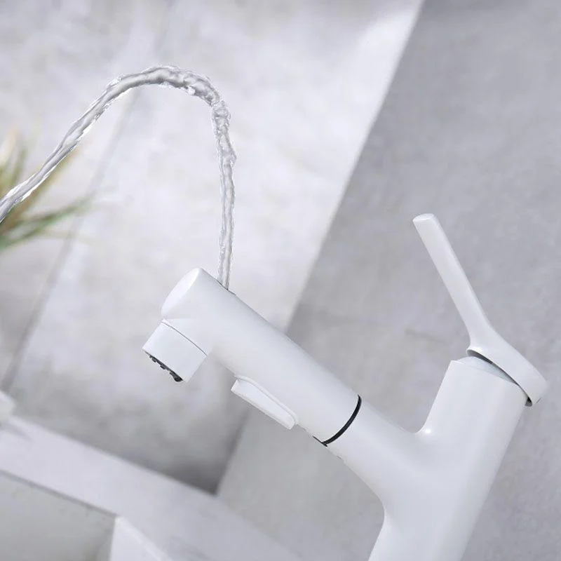 Contemporary Single Handle Tap Pull-out Sink Tap with Lever Handle -Bathlova