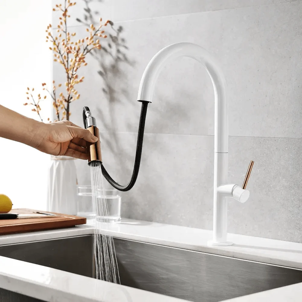 Goose Neck Dual-Function Kitchen Tap with Pull-Out Sprayer -Bathlova