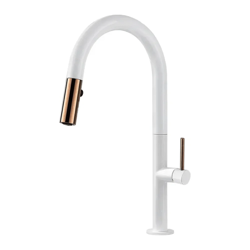 Goose Neck Dual-Function Kitchen Tap with Pull-Out Sprayer -Bathlova