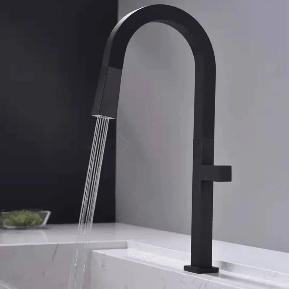 Gooseneck Dual Functions Pullout Kitchen Tap in Black -Bathlova