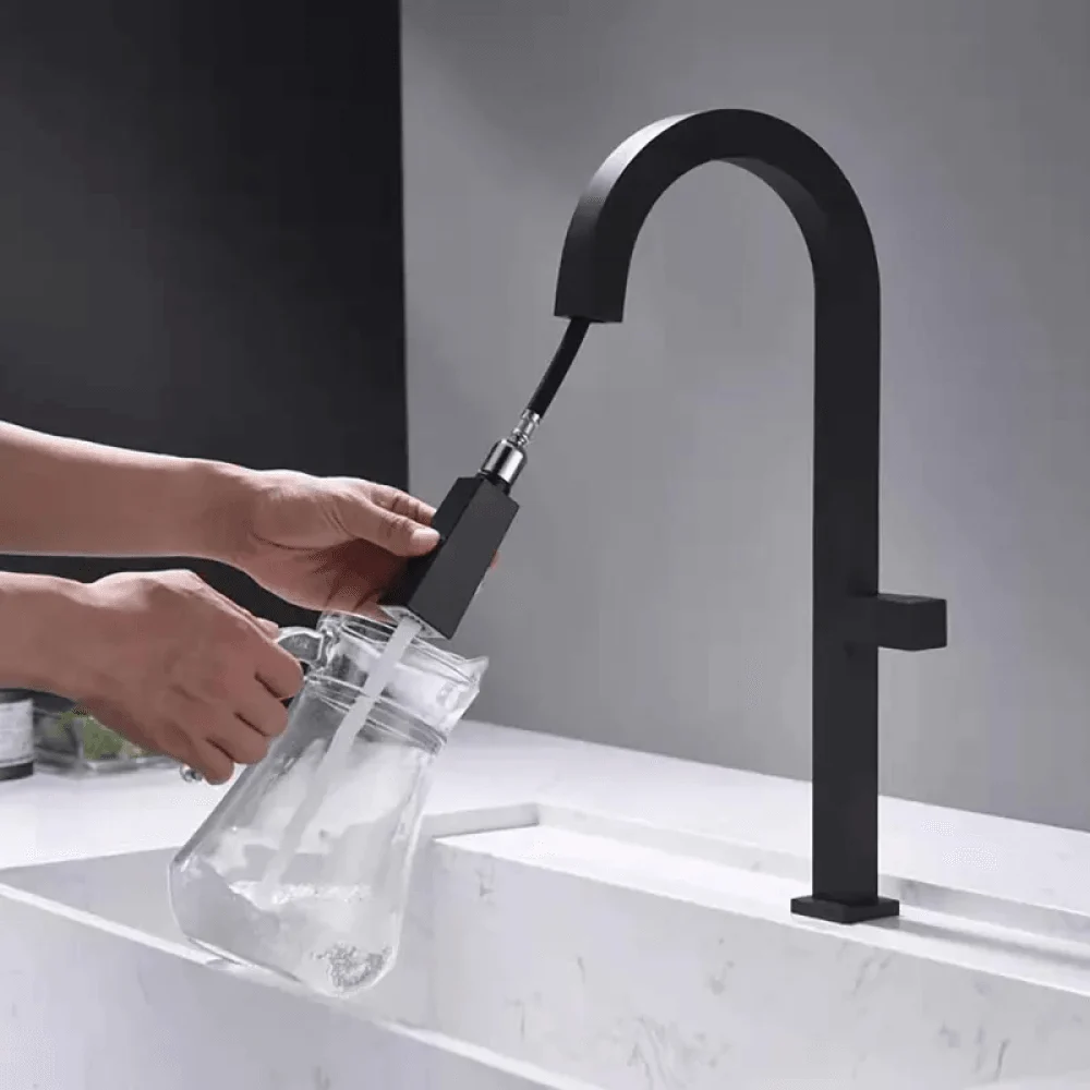 Gooseneck Dual Functions Pullout Kitchen Tap in Black -Bathlova