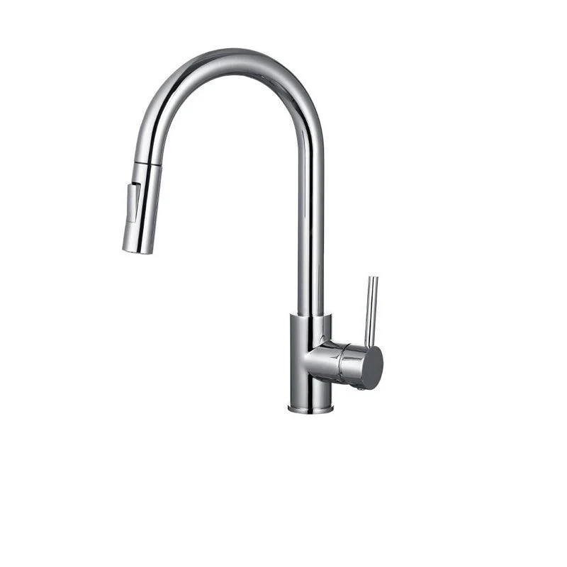 Gooseneck Kitchen Sink Tap Swivel Spout with Pull down Sprayer -Bathlova